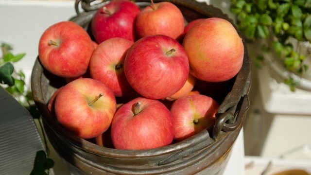 養命酒の信州りんごとハニーブッシュの価格や美味しい飲み方はある？
